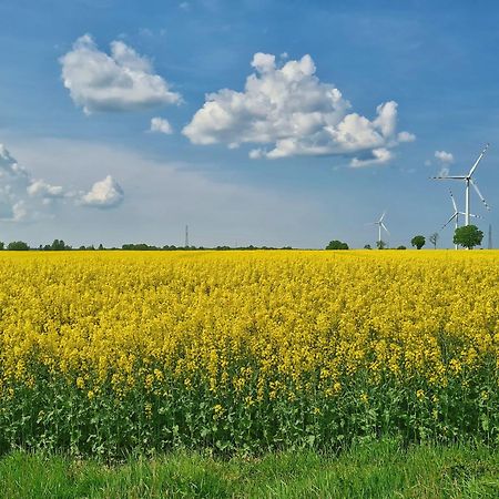 Agroturystyka Nowy Krakow Jezyce Eksteriør bilde